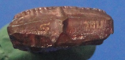 หนุมาน หลวงปู่เกลี้ยง วัดเนินสุทธาวาส