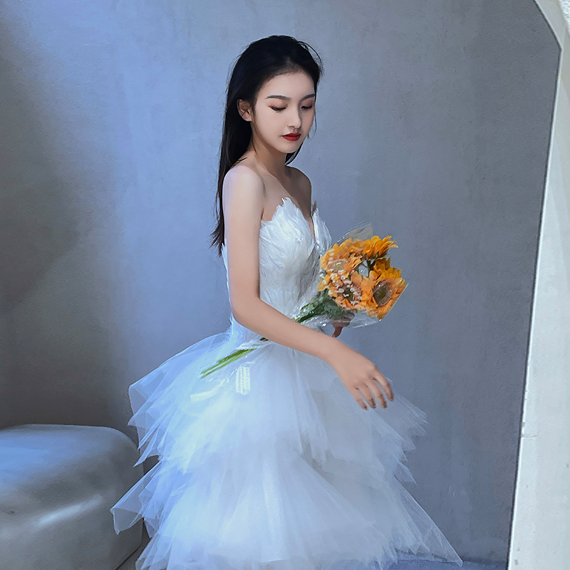 ชุดราตรี ชุดราตรีสวยหรู แบบ ทันสมัย Evening dress