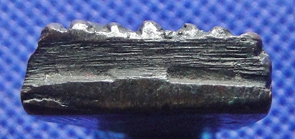 หลวงปู่ทวด วัดช้างไห้