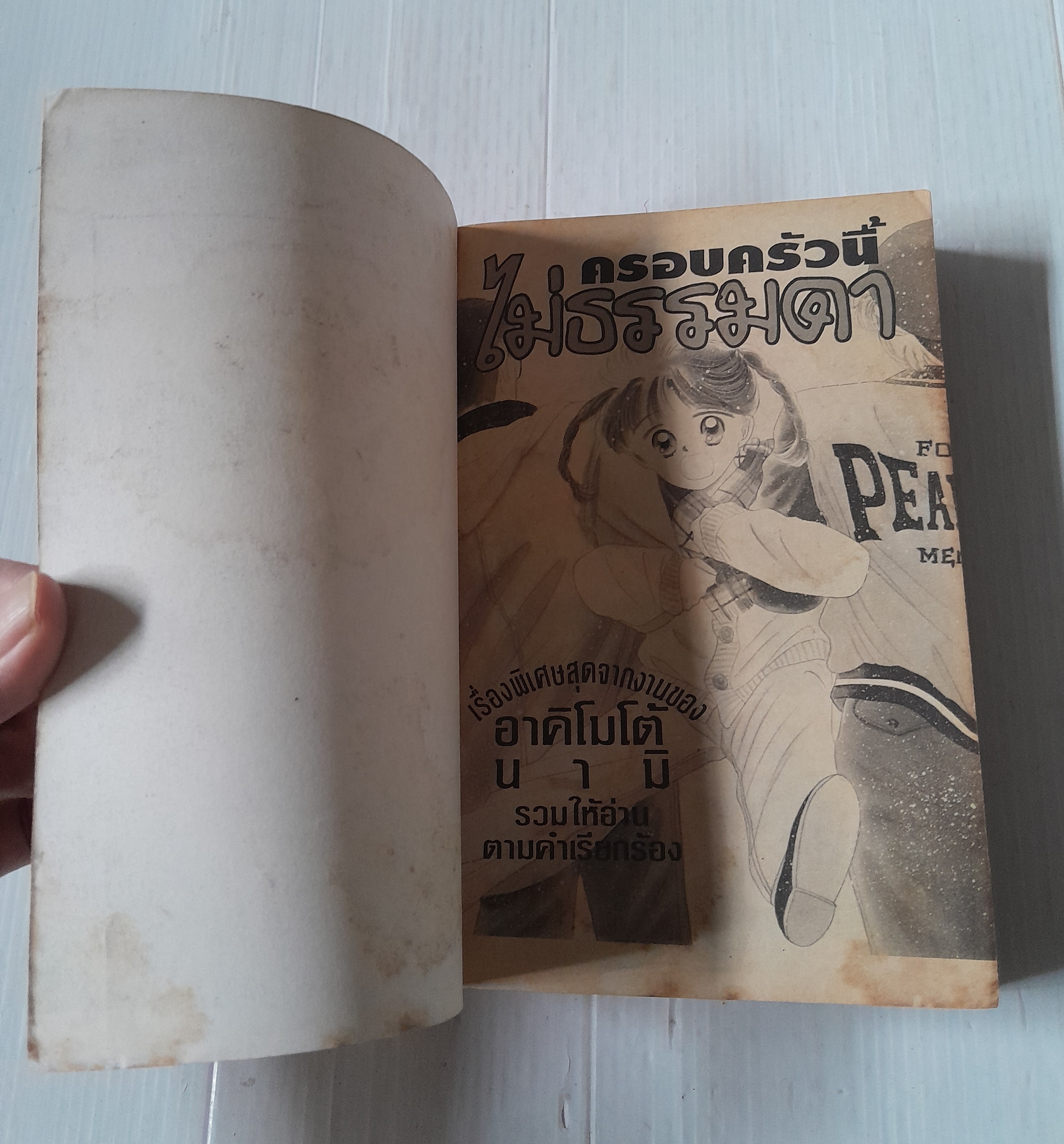 ครอบครัวนี้ไม่ธรรมดา (เล่มเดียวจบ) / อาคิโมโต้ นามิ