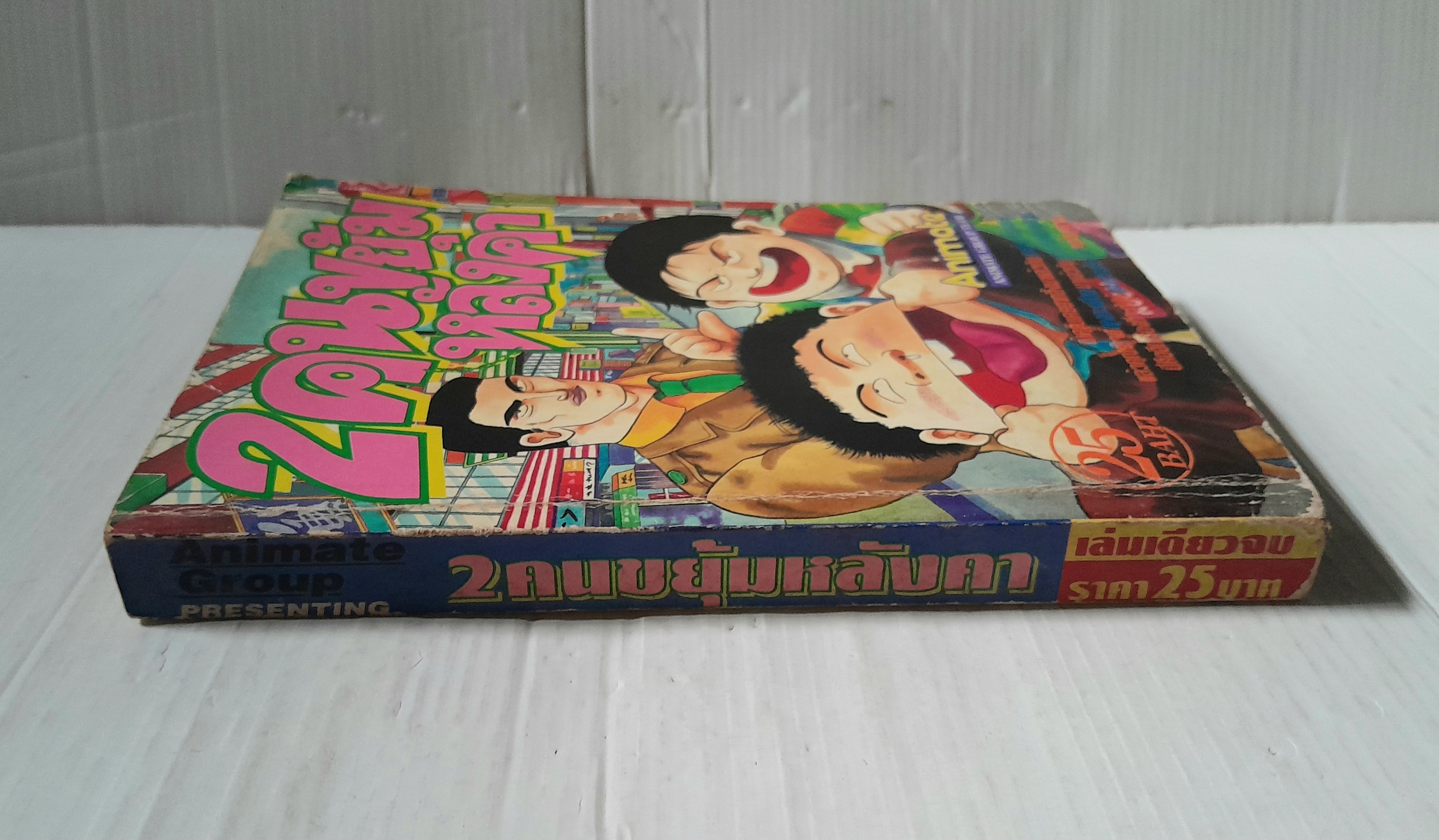 2 คนขยุ้มหลังคา (เล่มเดียวจบ) / Masayo Tokushiro