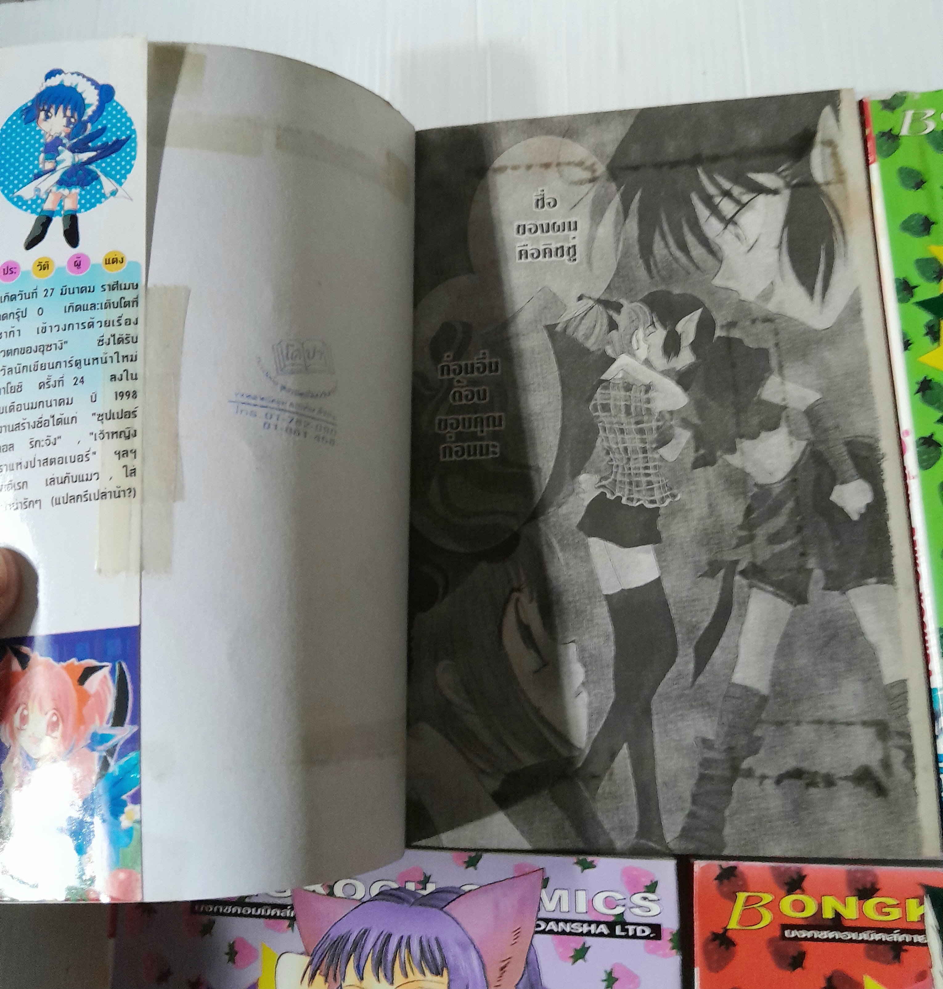 โตเกียวเหมียวเหมียว 7 เล่มจบ