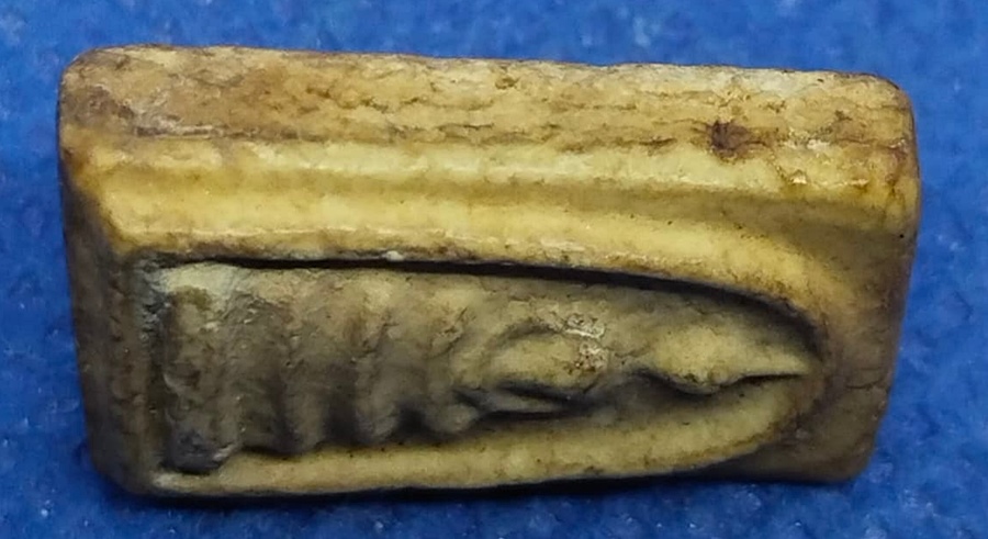 สมเด็จคะแนน๑๐๐ปี