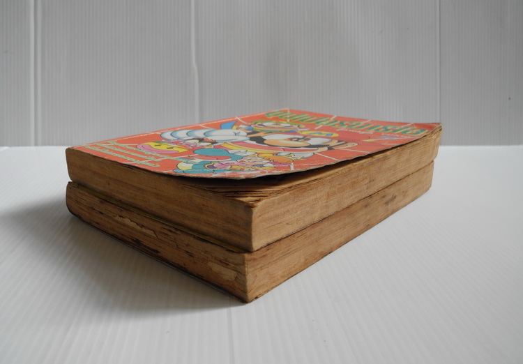 ซุปเปอร์มาริโอ้ ภาค 1 ( 2 เล่มจบ )