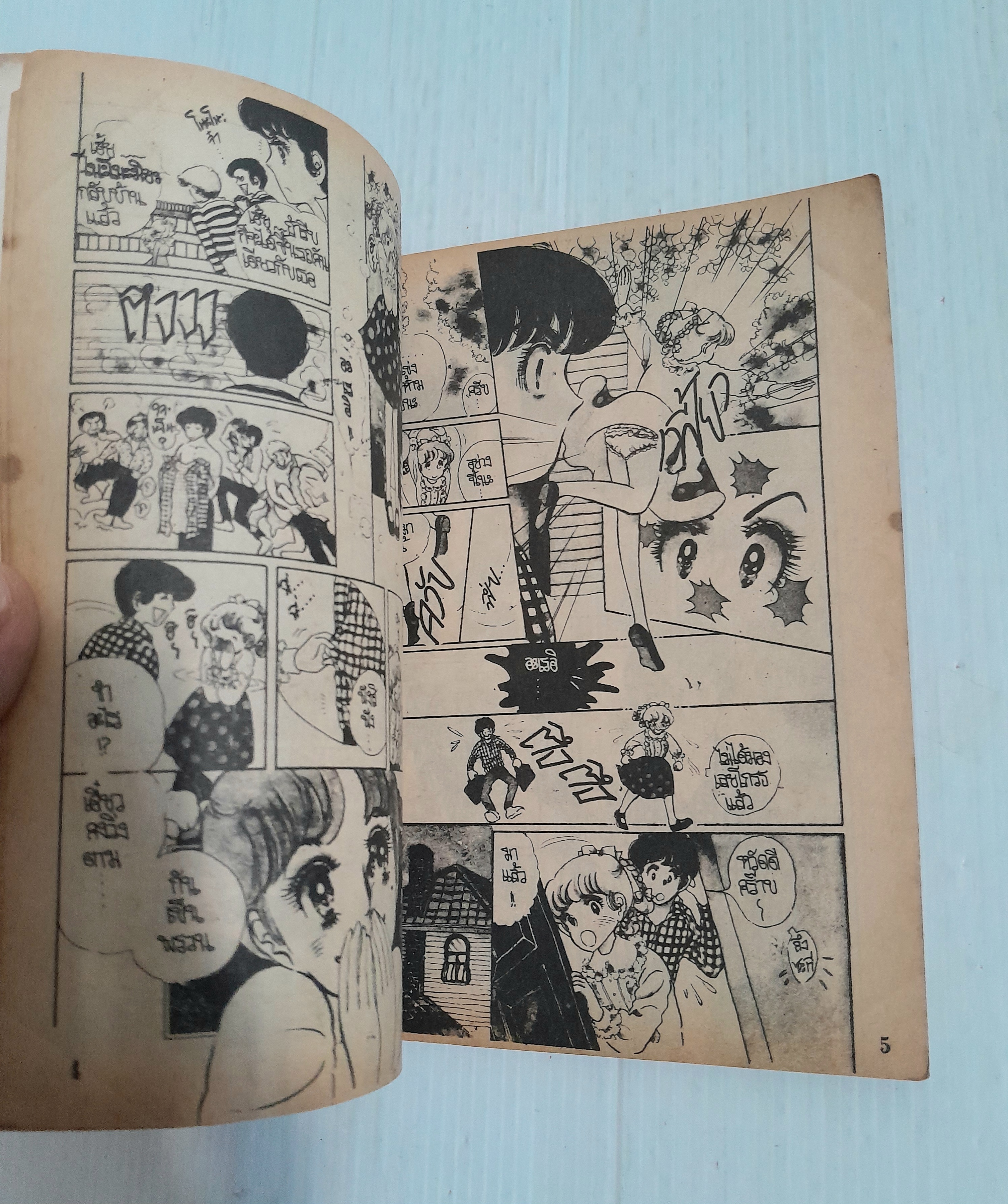 บันทึกรักสาววัยรุ่น (เล่มเดียวจบ)