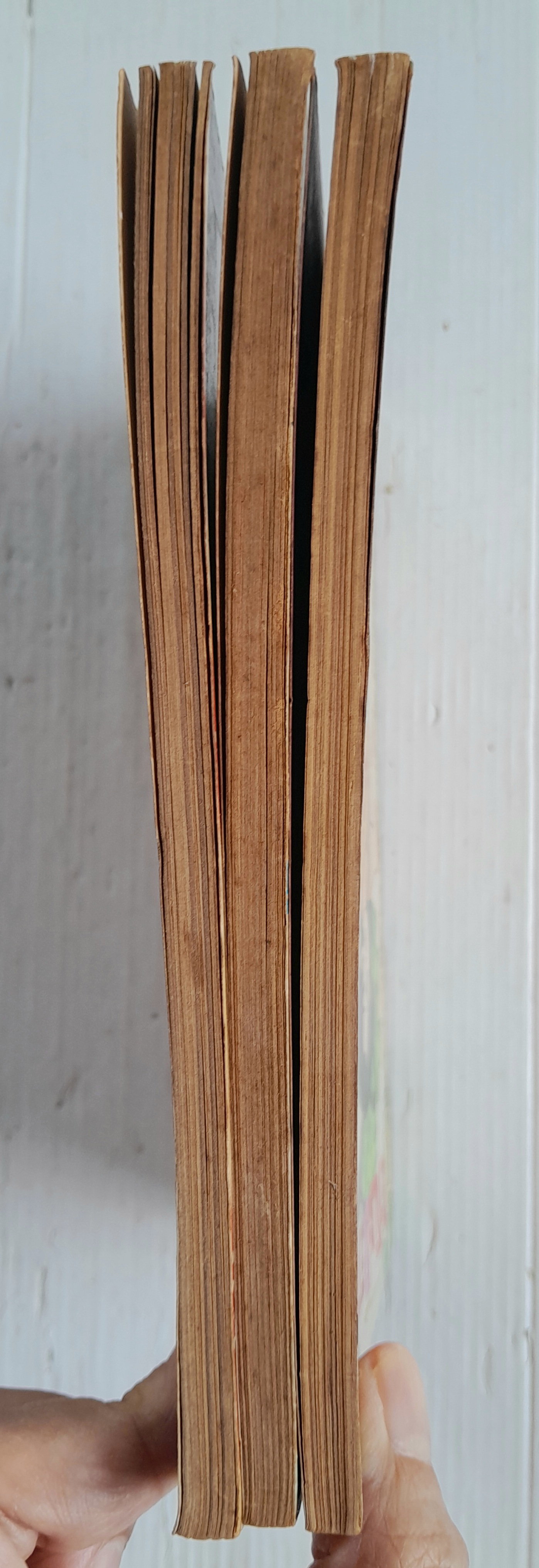 โอโบะ&อายามะ 3 เล่มจบ / ยูซึกิ ฮิคารุ