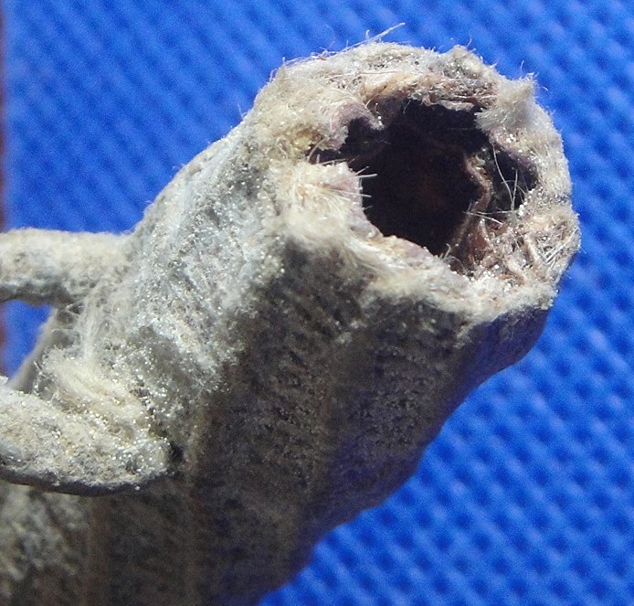 ตะกรุดหนังเสือ