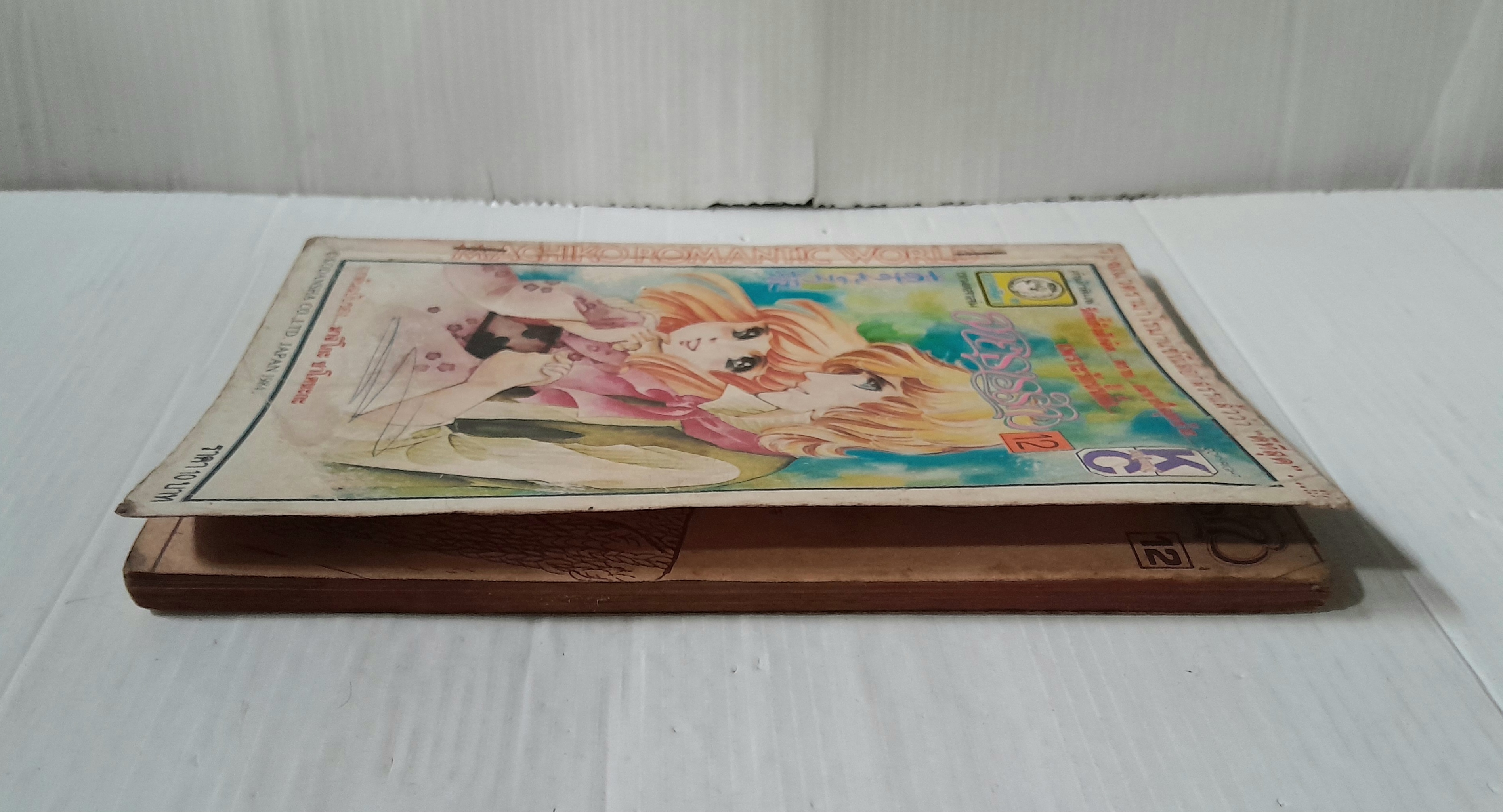 สายธารรัก เล่ม 12 / มาจิโกะ ซาโตนะกะ