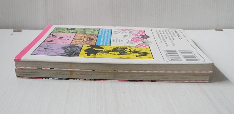 สาวใช้จำเป็นกับเจ้านายสุดหล่อ! เล่ม 1-2 / Ai morinaga