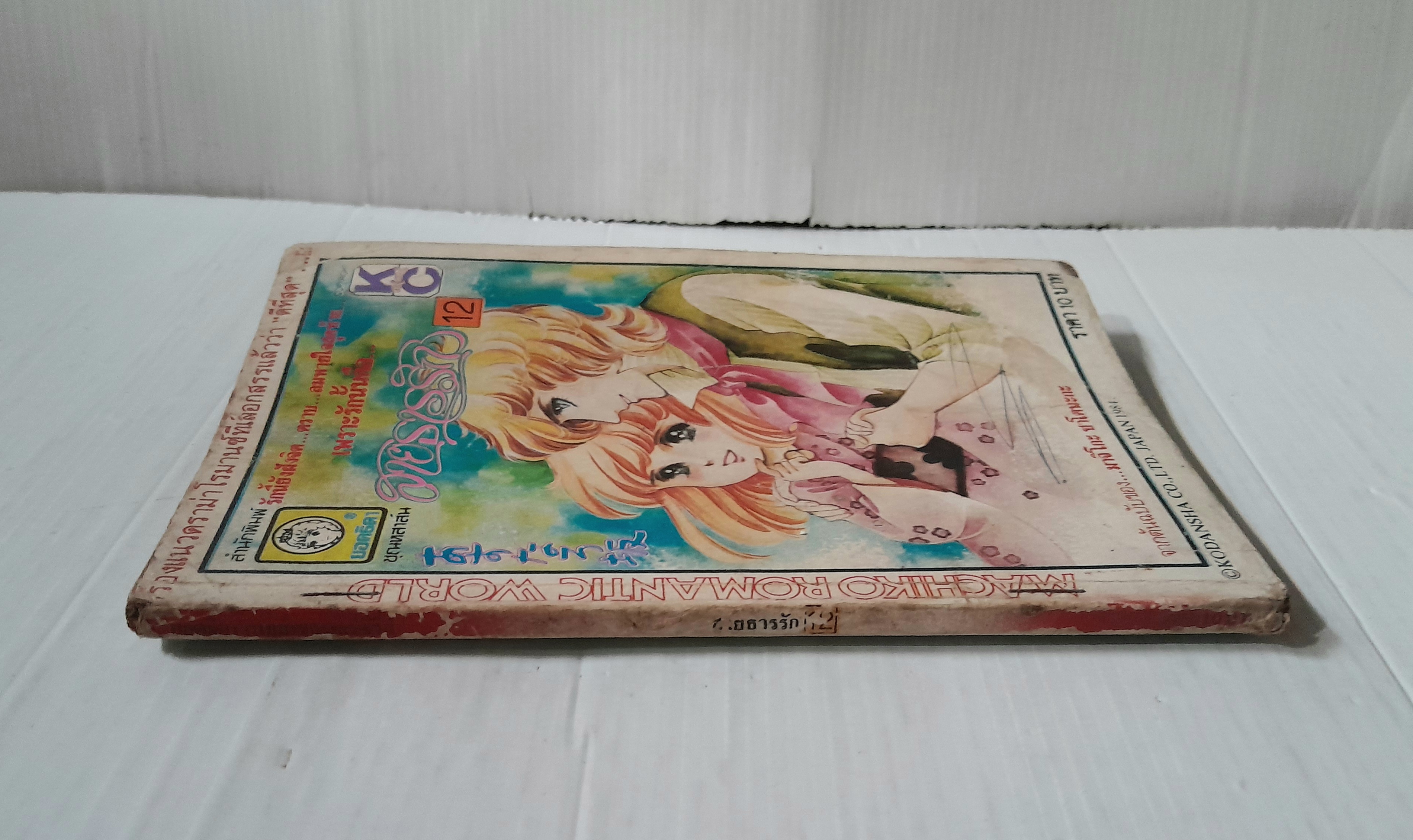 สายธารรัก เล่ม 12 / มาจิโกะ ซาโตนะกะ