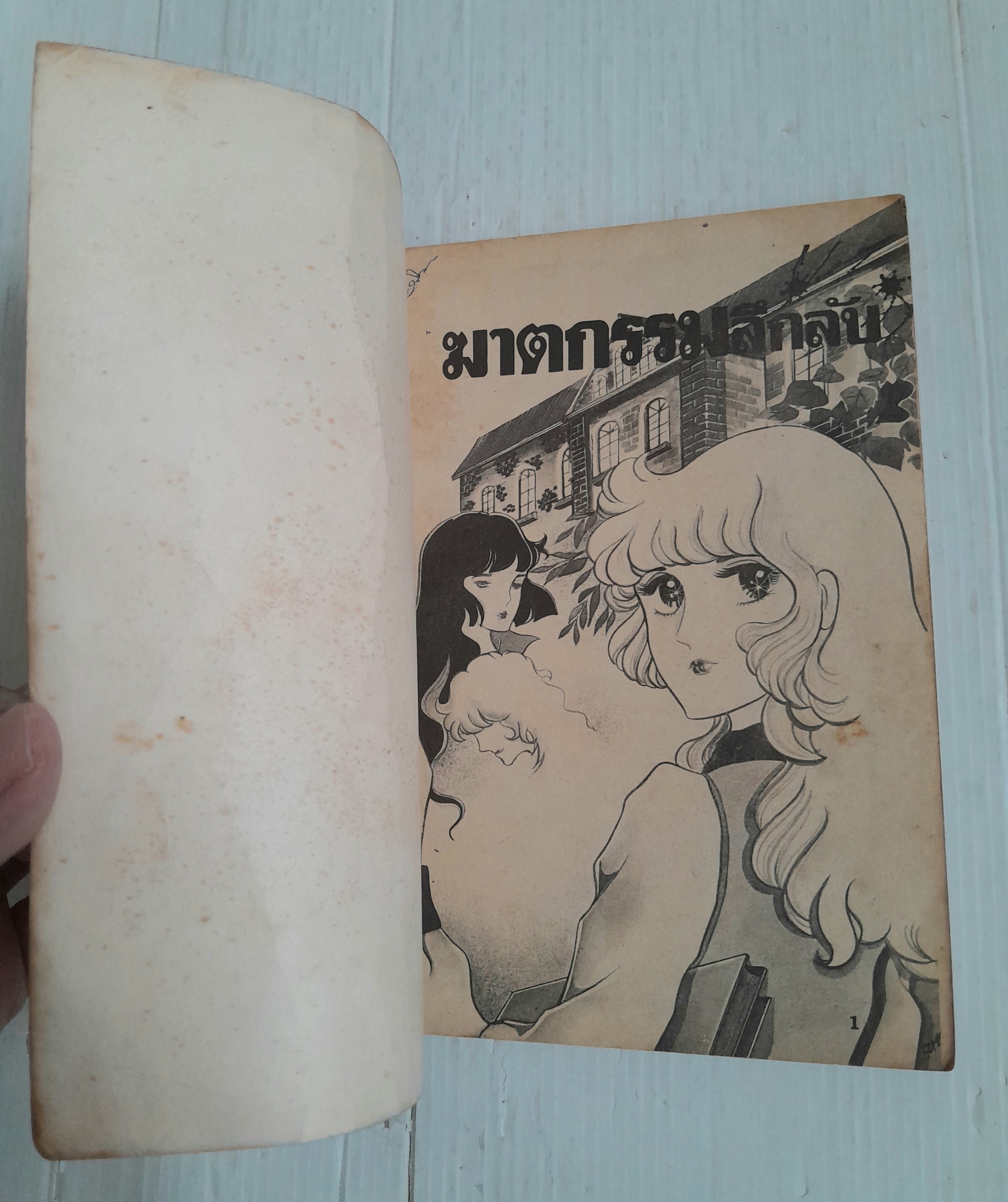 ฆาตกรรมลึกลับ (เล่มเดียวจบ)