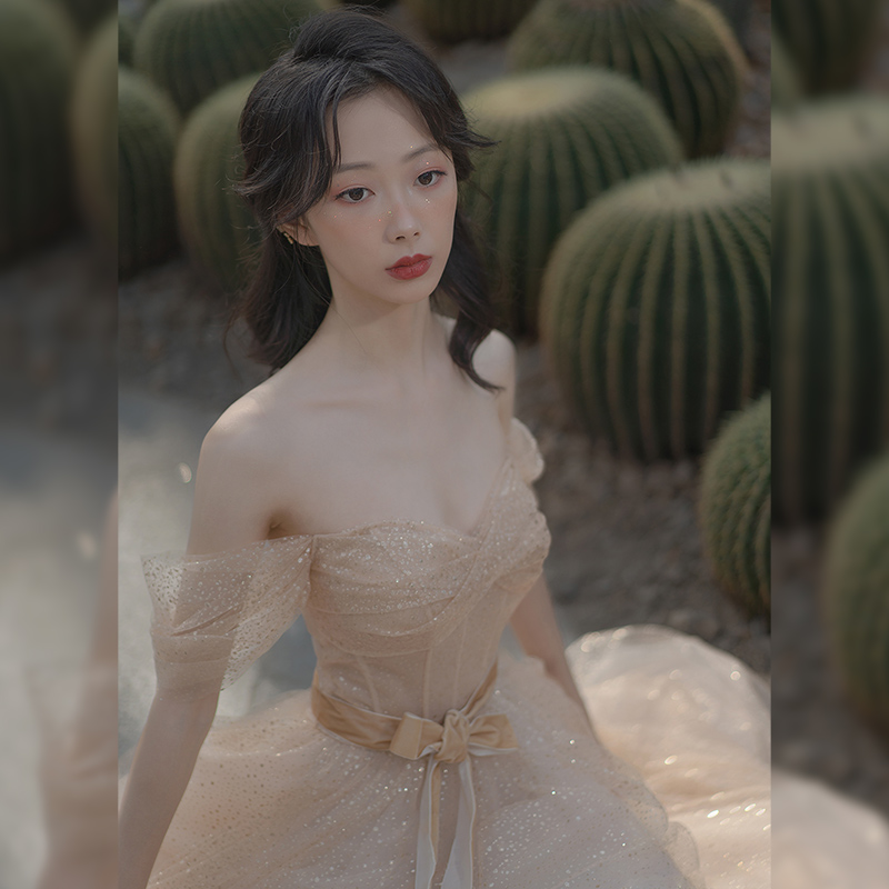 ชุดราตรี ชุดราตรีสวยหรู แบบ ทันสมัย Evening dress
