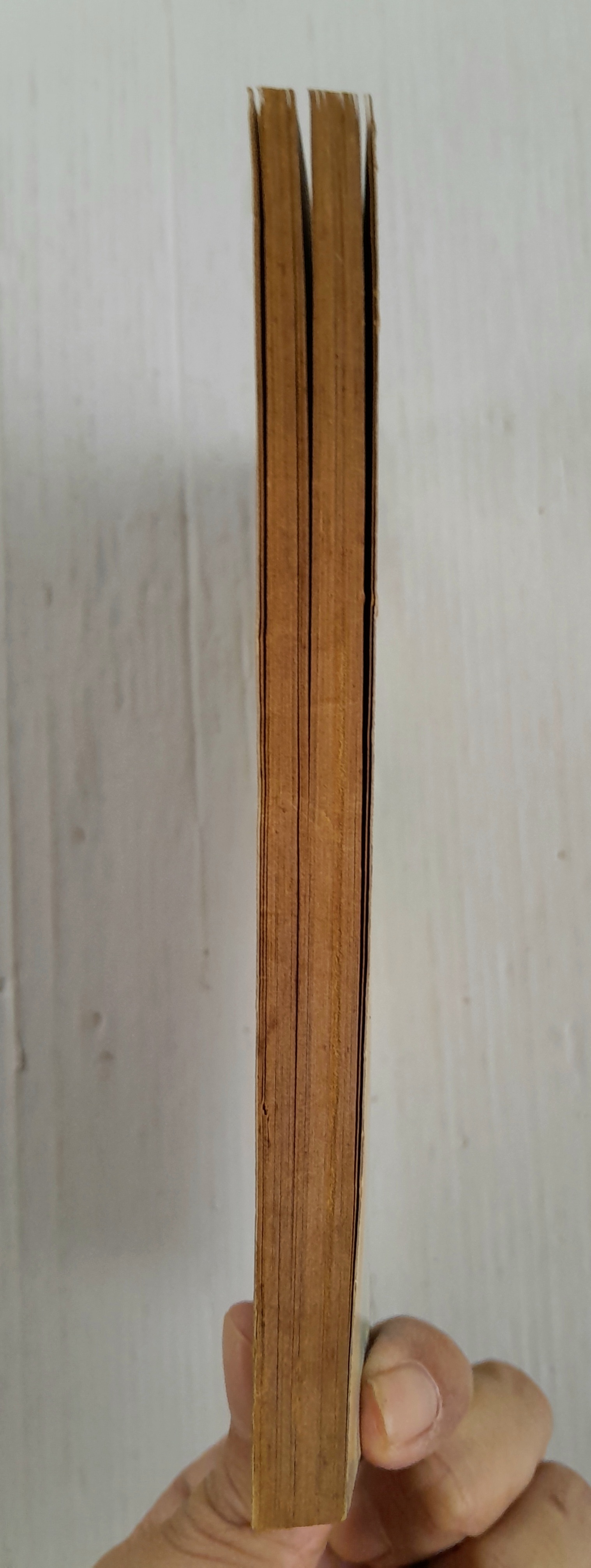 กระดาษพับต้องสาป (เล่มเดียวจบ) / Kasakabe Yoko