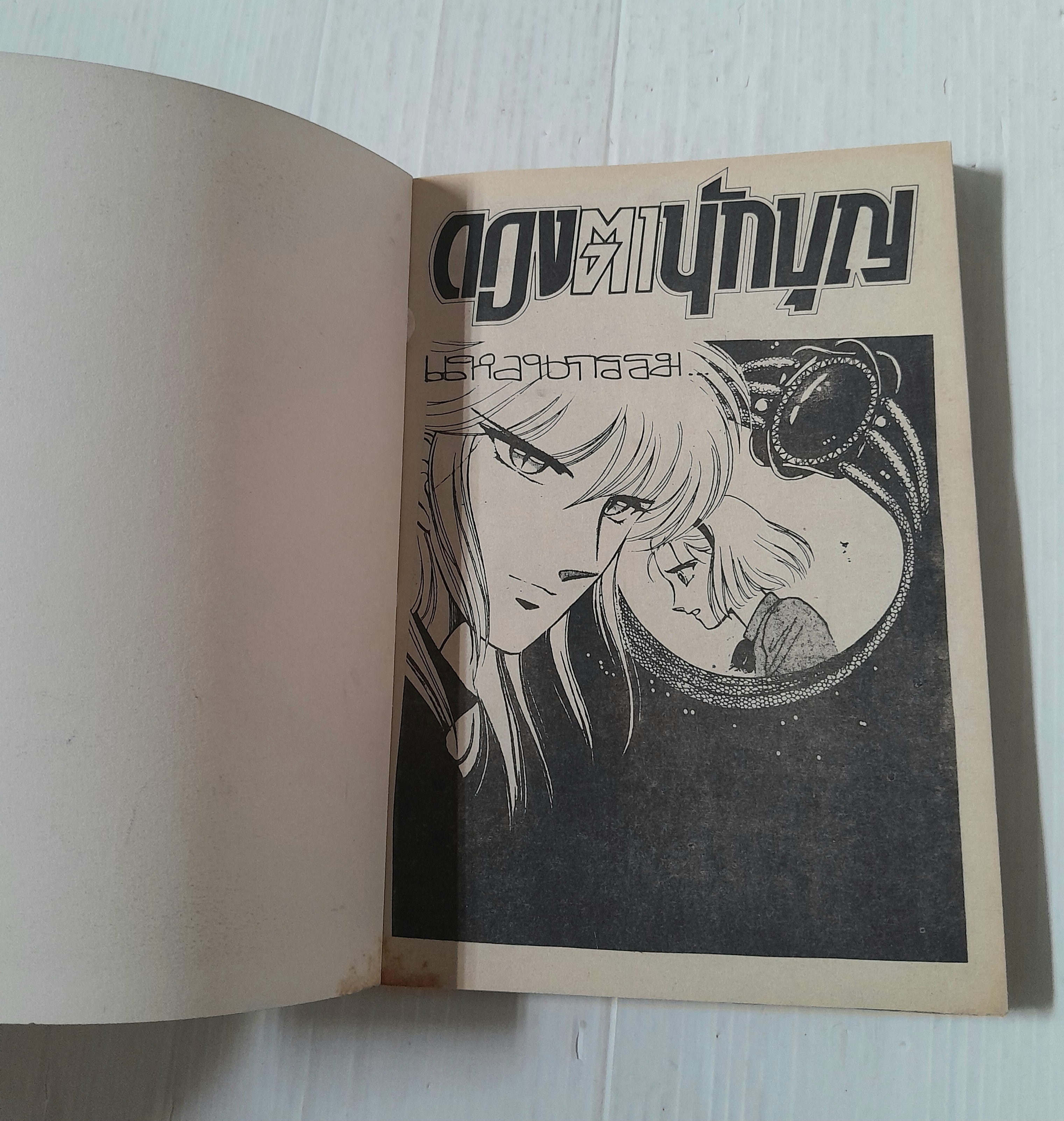 ดวงตานักบุญ (เล่มเดียวจบ) / Chieri Mihara