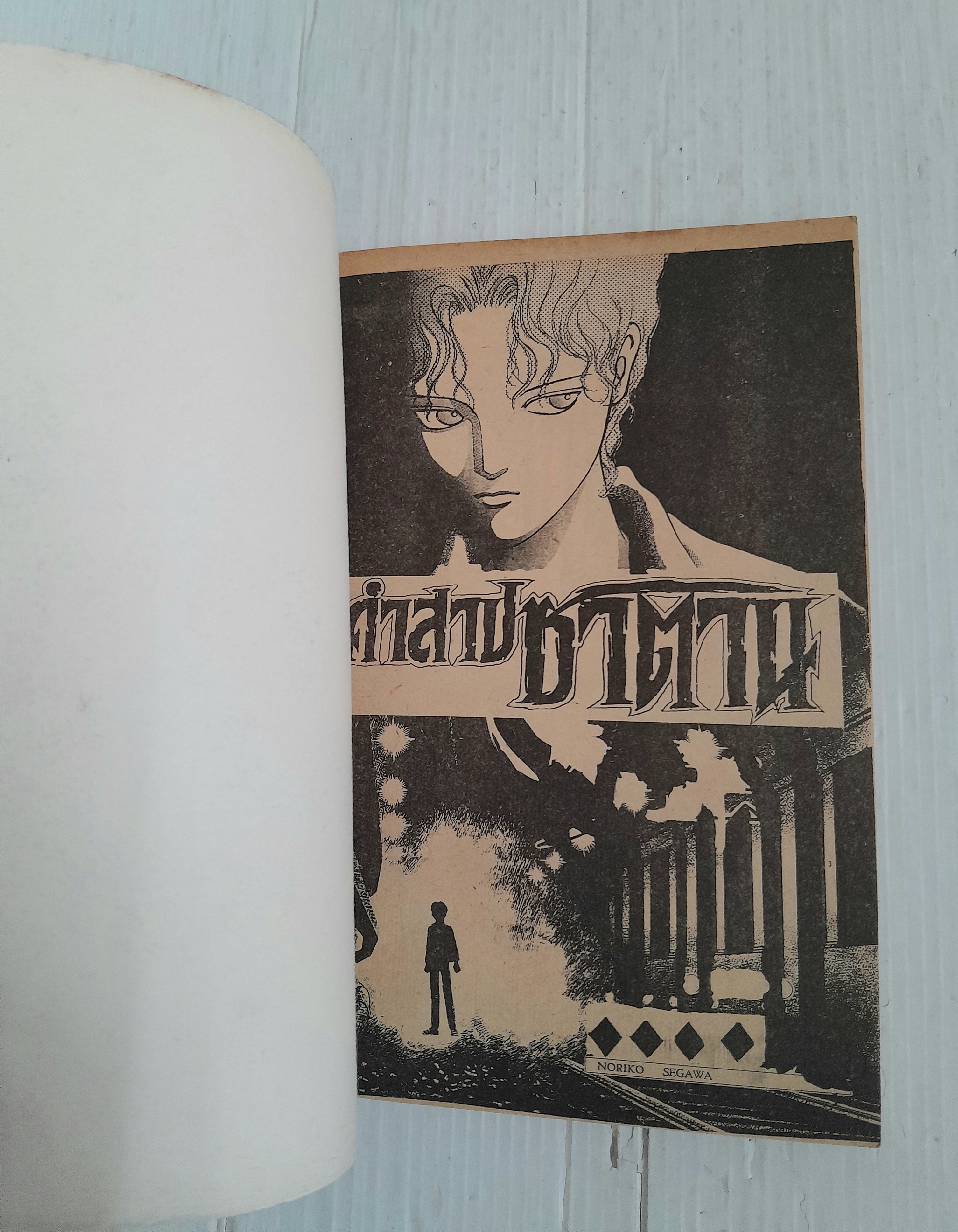 คำสาปซาตาน (เล่มเดียวจบ) / Noriko Swgawa