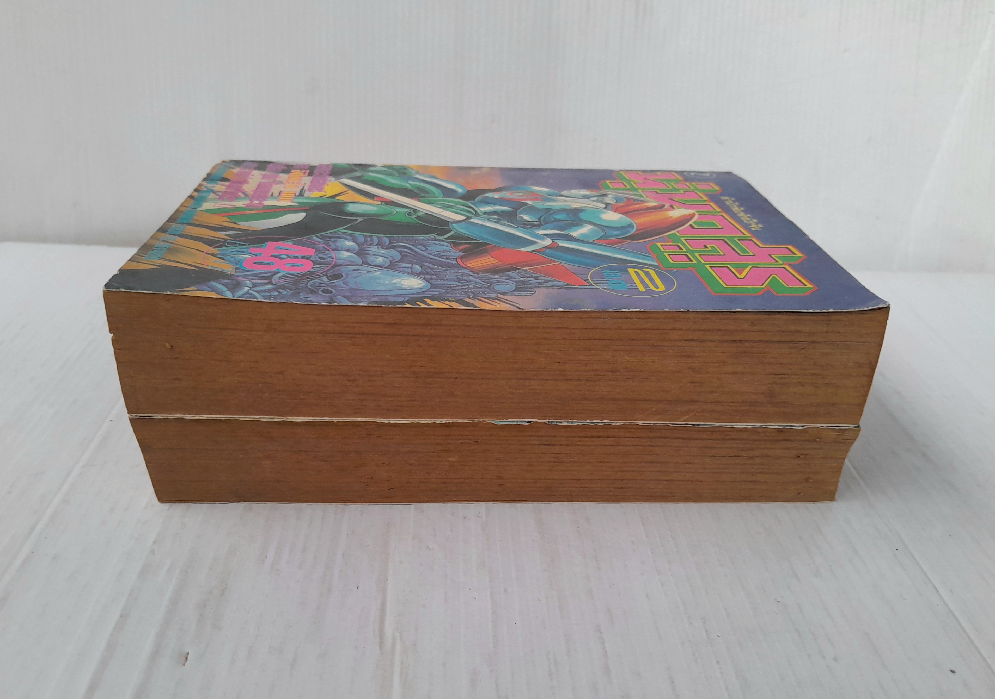 หุ่นอสูร 2 เล่มจบ / Ishikawa Ken