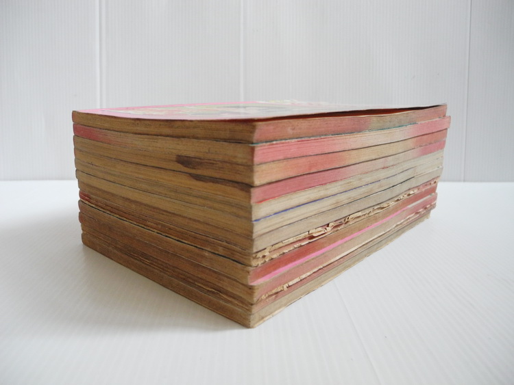 รักข้ามรุ่น 12 เล่มจบ / มิวะ ซาคาอิ