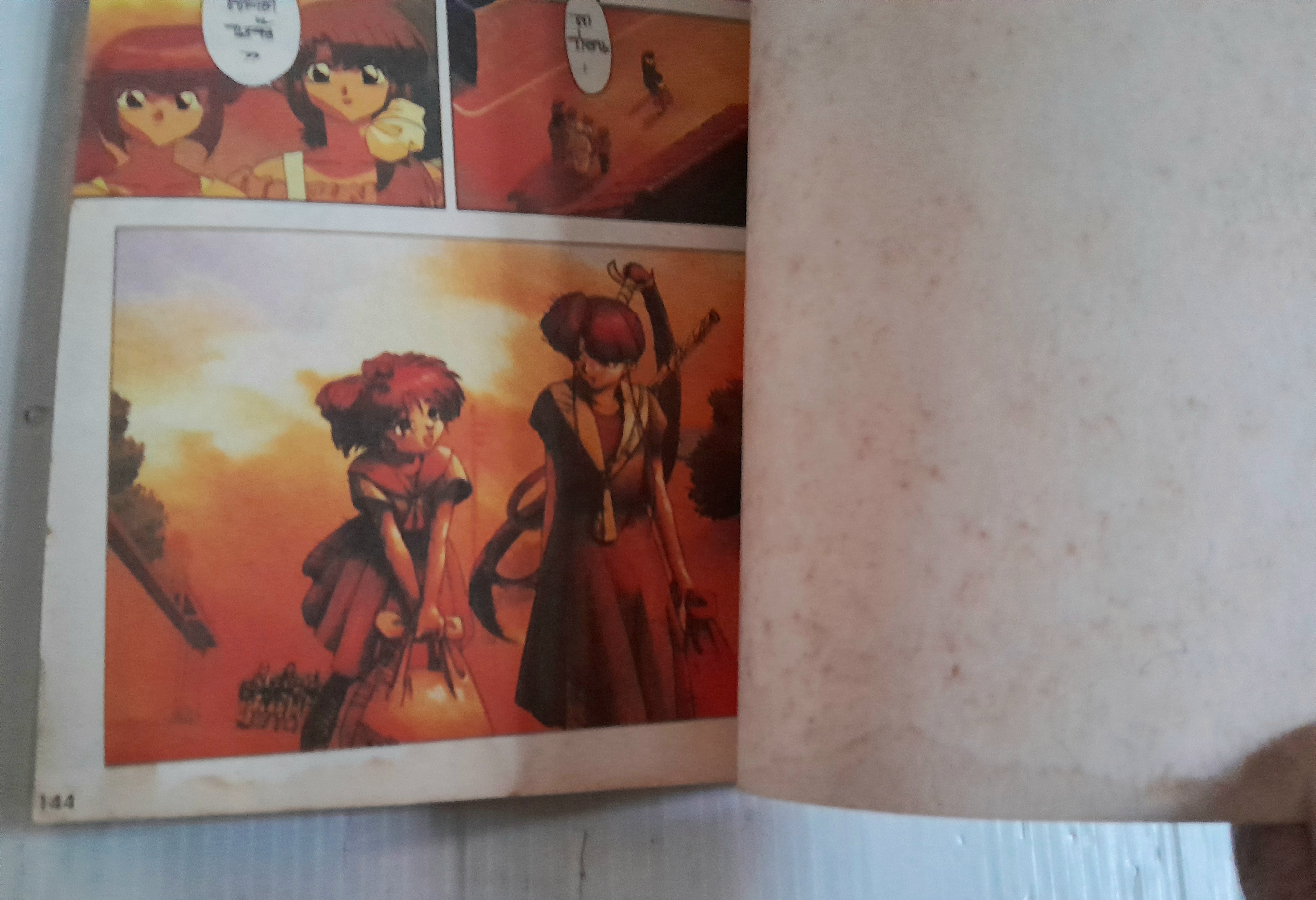 รันม่า1/2 ตอนรันม่า vs วิหคเพลิง (เล่มเดียวจบ)