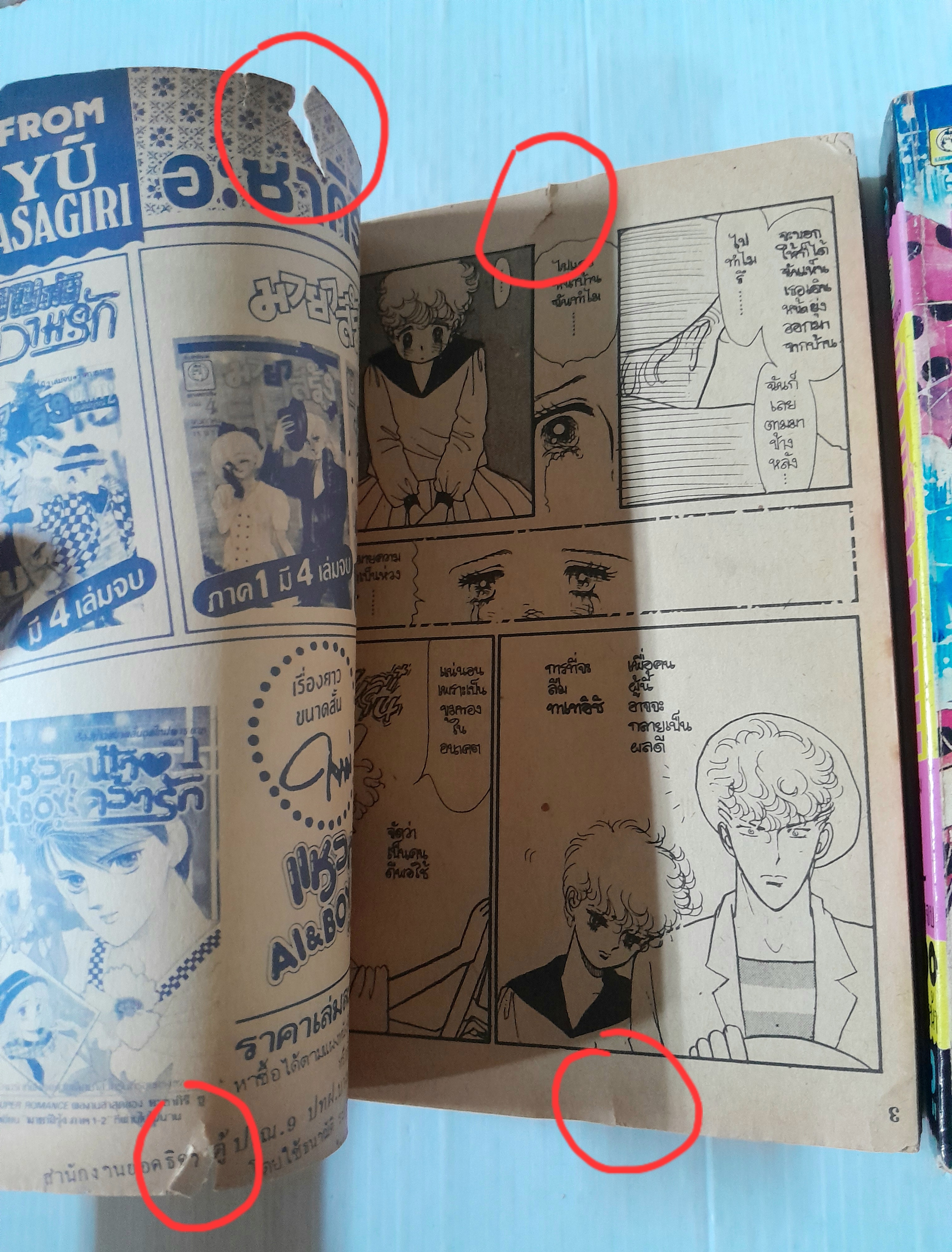 ฝันนี้สีชมพู 2 เล่มจบ