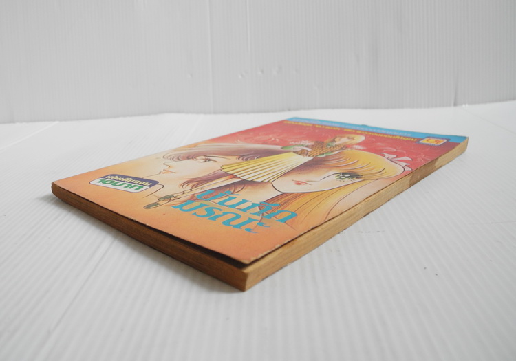 บันทึกมรณะ เล่มเดียวจบ