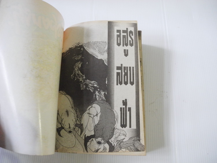 อสูรสยบฟ้า (เล่มเดียวจบ)