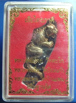 เสือพันหลักทอง รวยเพิ่มพูน