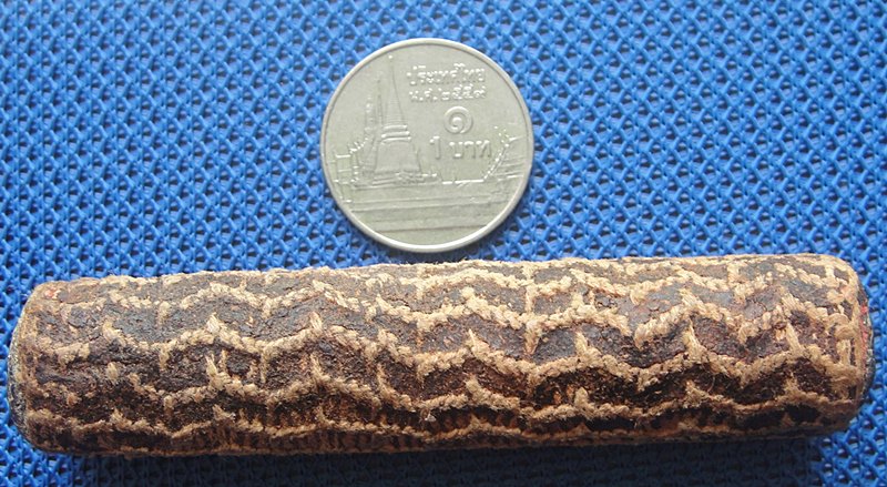 ตะกรุดหลวงพ่อผุด วัดวังเวียน