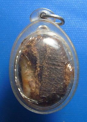 หลวงพ่อนพพล เตชพโล วัดหุบนางวัว