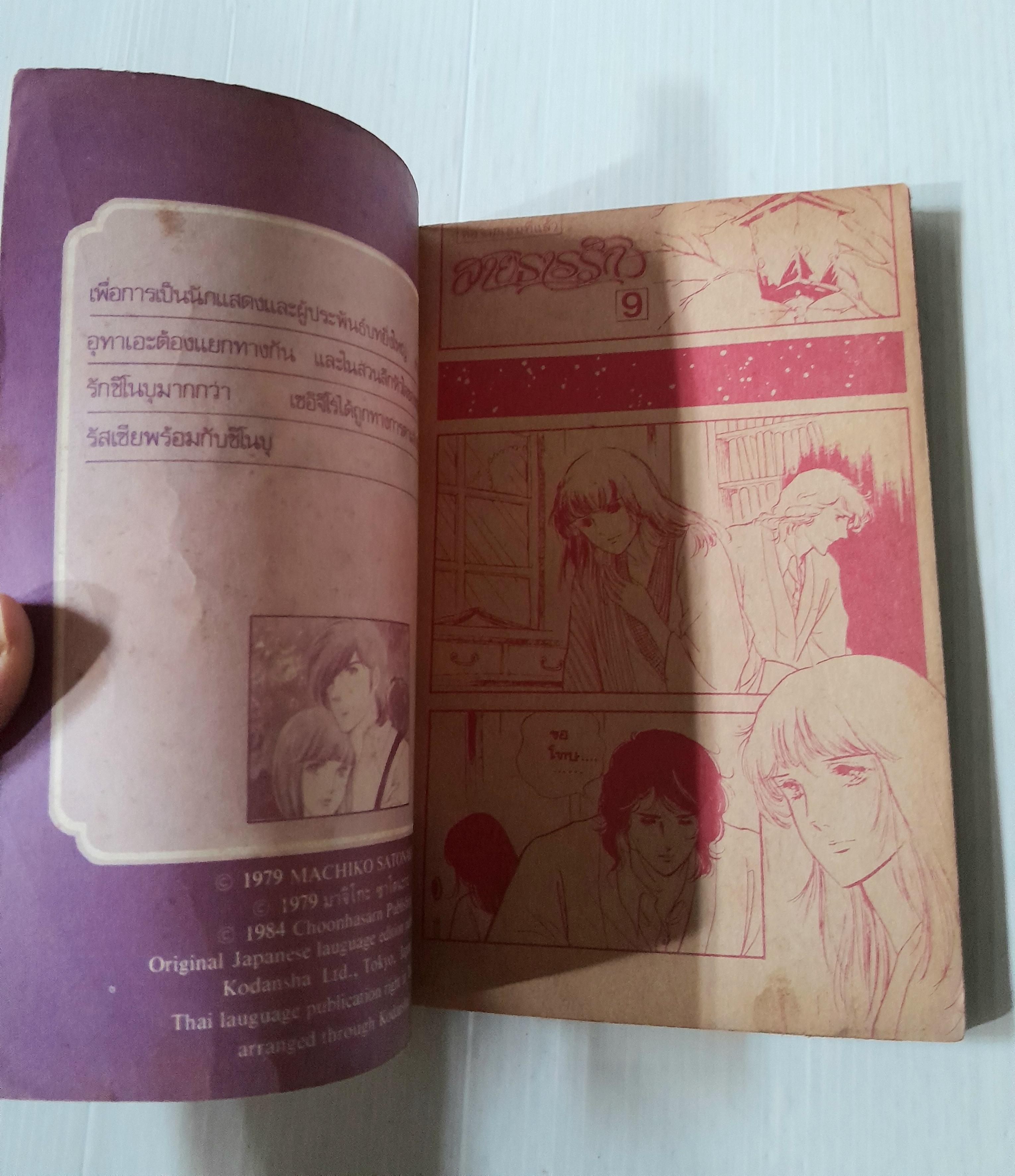 สายธารรัก เล่ม 9 / มาจิโกะ ซาโตนะกะ