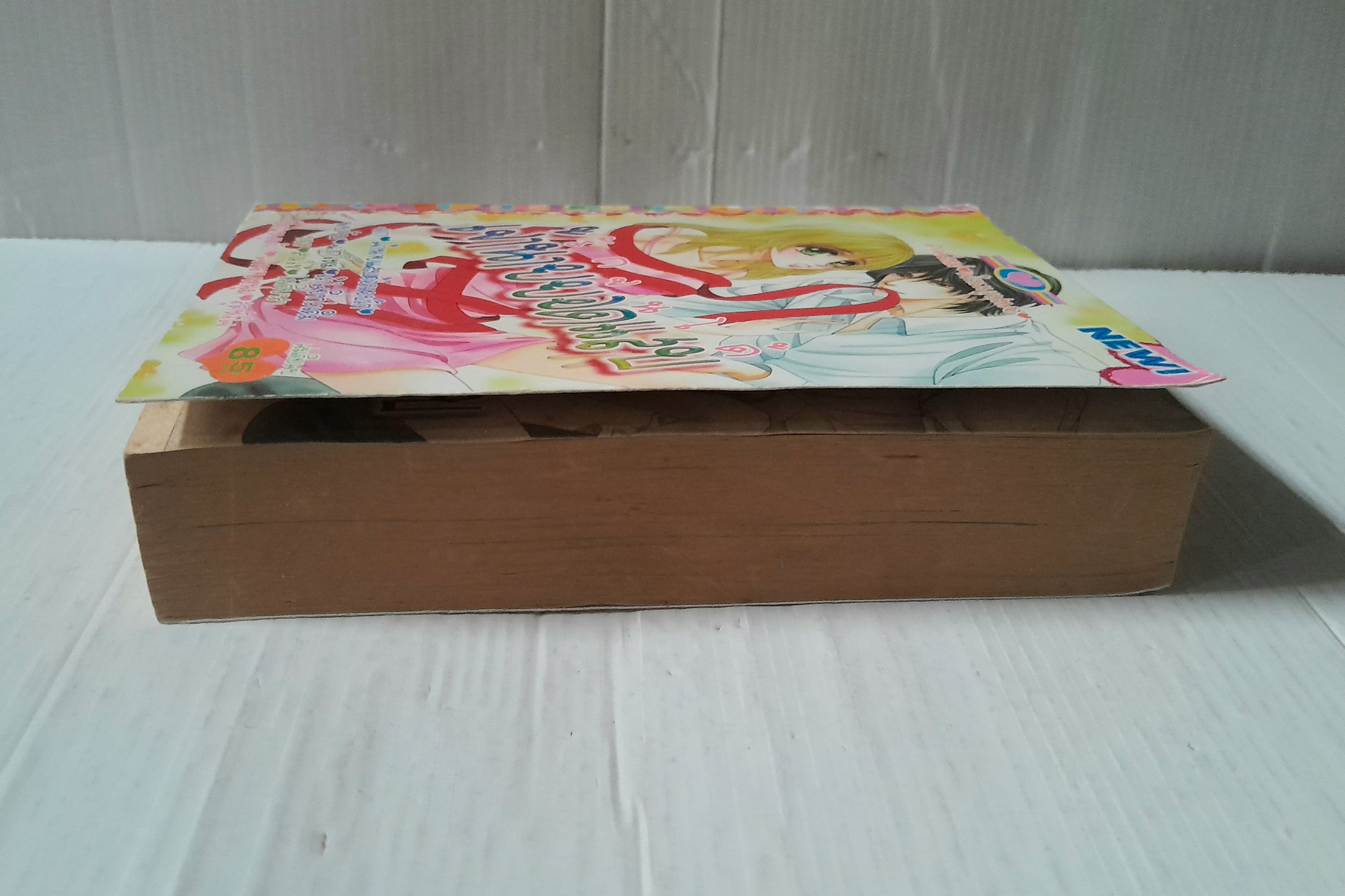 รักจนได้เจ้านายแสบ (เล่มเดียวจบ)