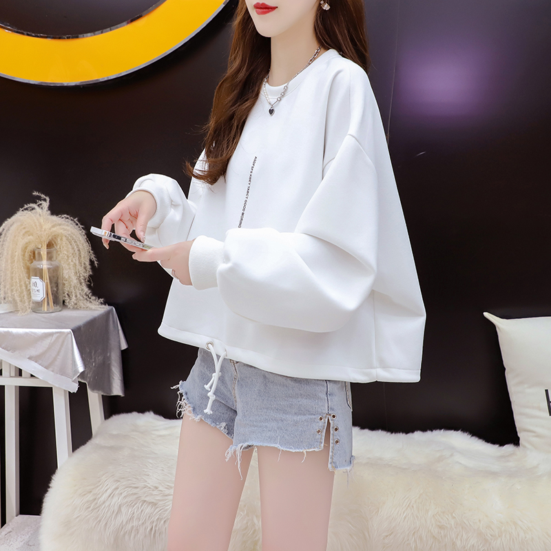 เสื้อไหมพรม เสื้อไหมพรมแขนยาว 38-44 นิ้ว ฟรีไซส์