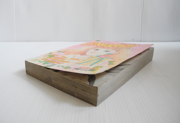 ถามนางฟ้าหาความรัก ( เล่มเดียวจบ ) / จิยะ โทริโก