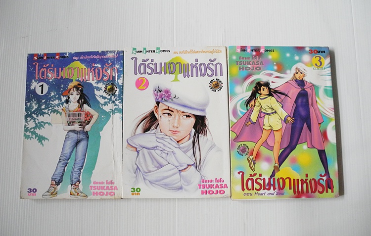ใต้ร่มเงาแห่งรัก 3 เล่มจบ / Tsukasa Hojo