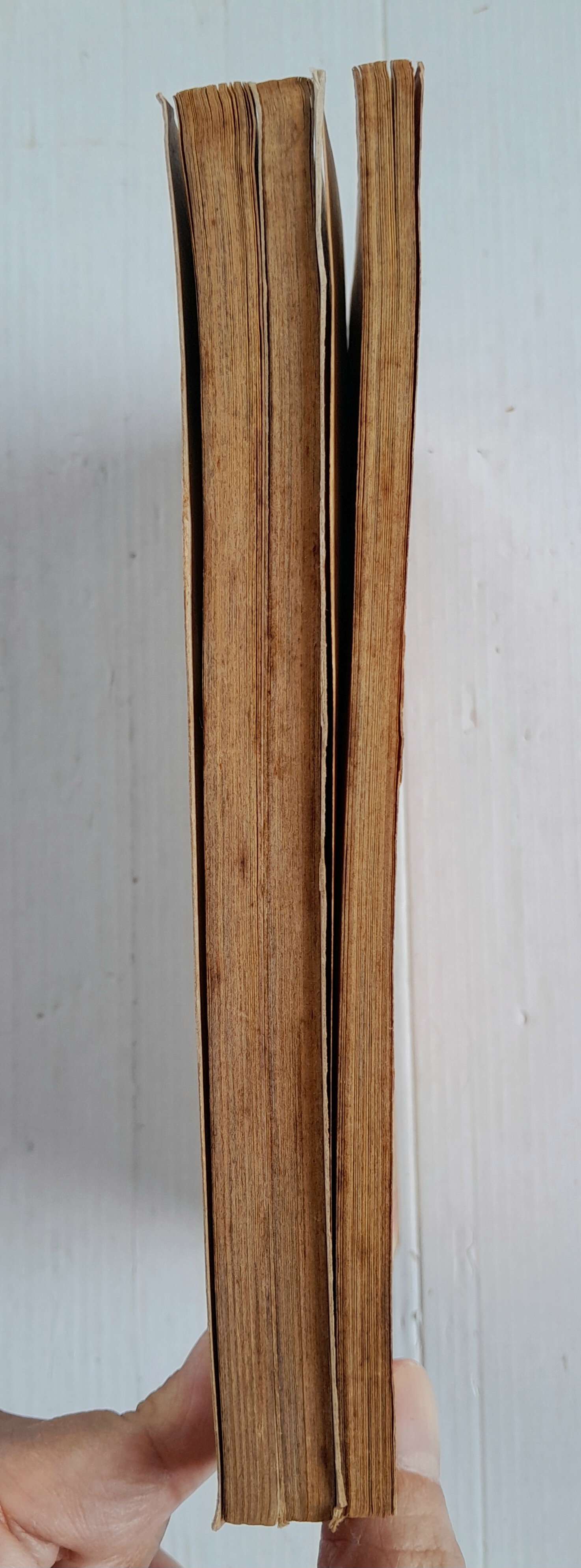 แอนก็คือแอน 3 เล่มจบ / อิงาราชิ ยูมิโกะ