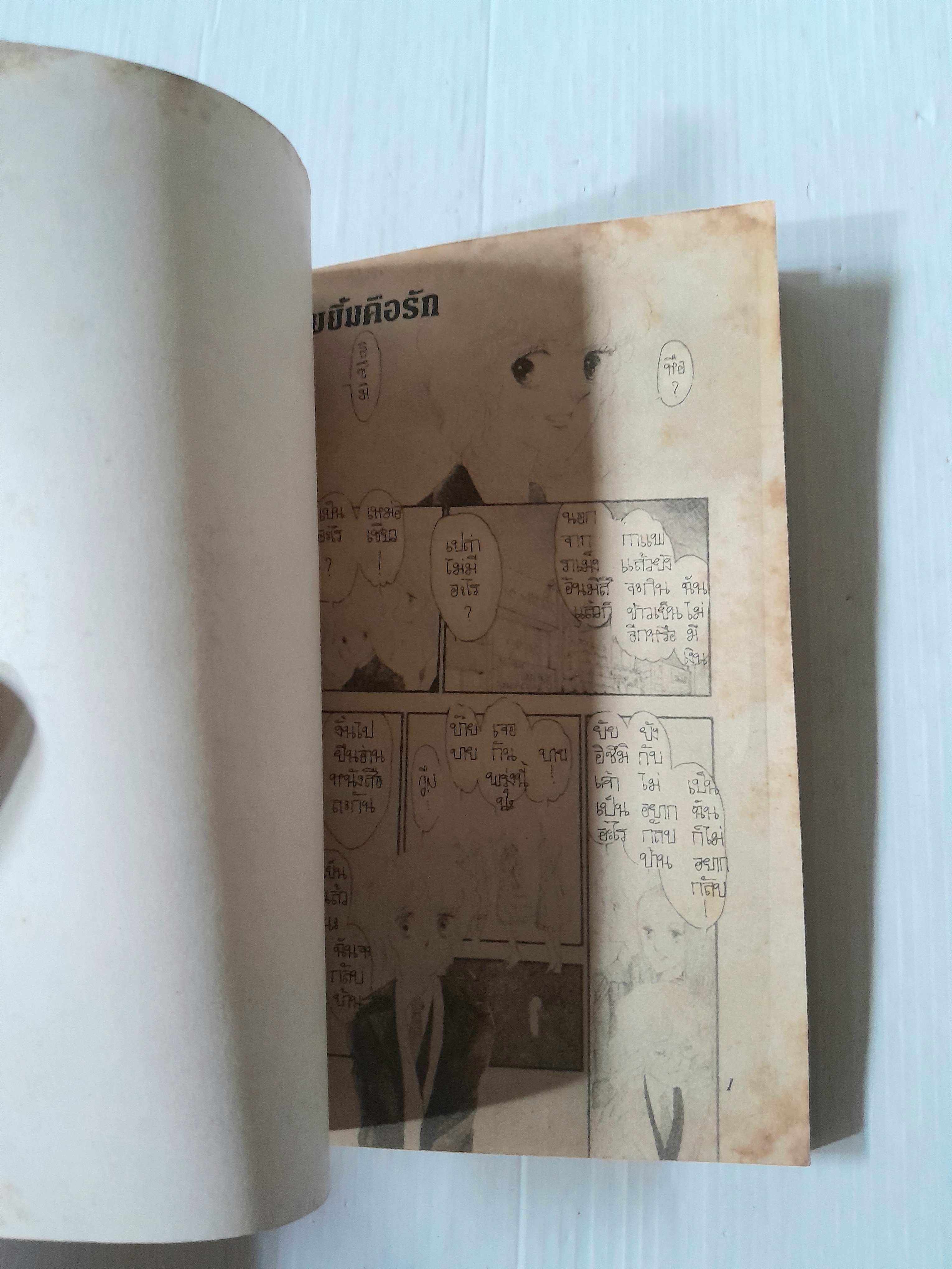 รอยยิ้มคือรัก (เล่มเดียวจบ)