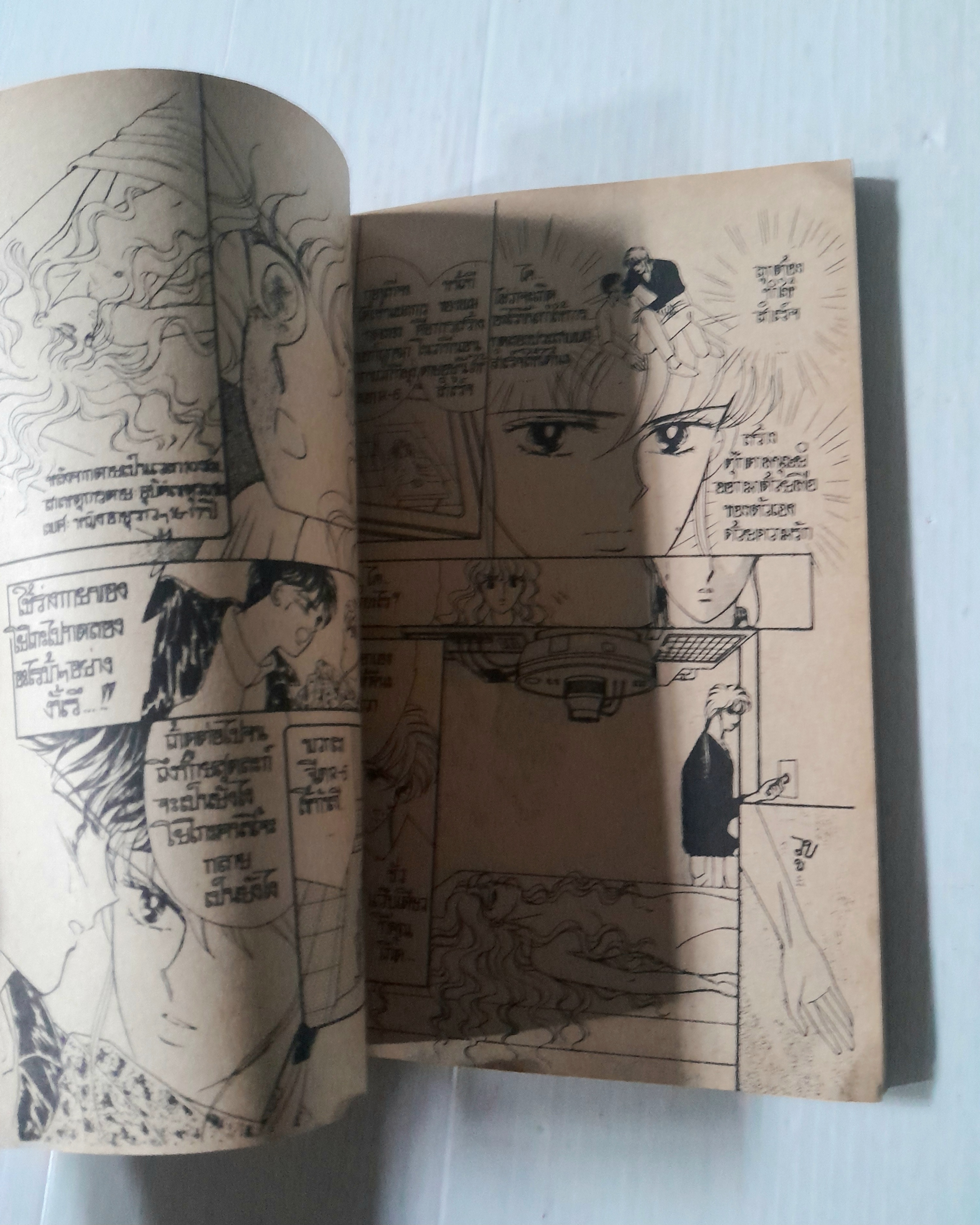 เมื่อเธอมีชีวิตอมตะ (เล่มเดียวจบ)