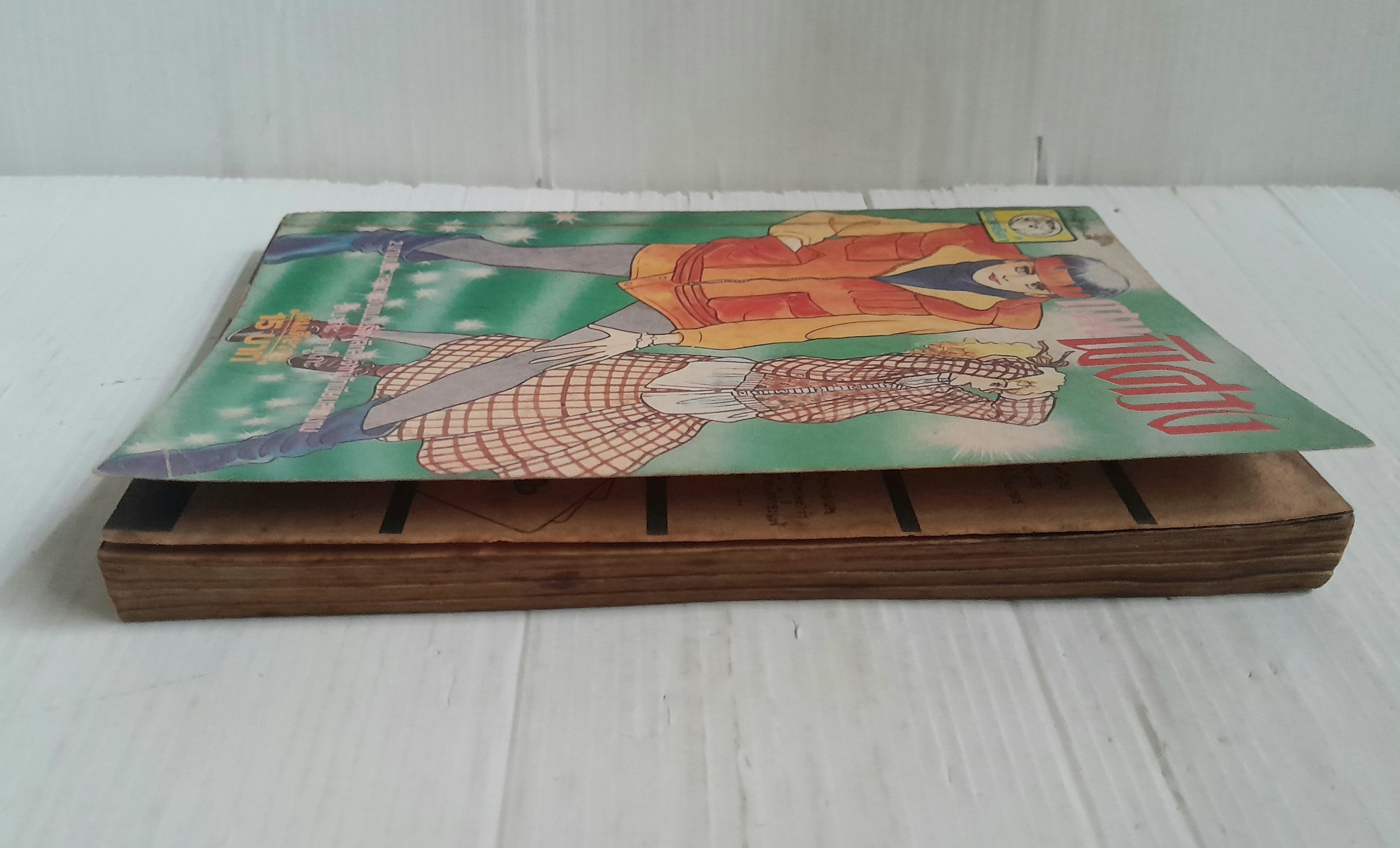 แดนพิศวง (เล่มเดียวจบ) / ชิบาตะ อายูโกะ