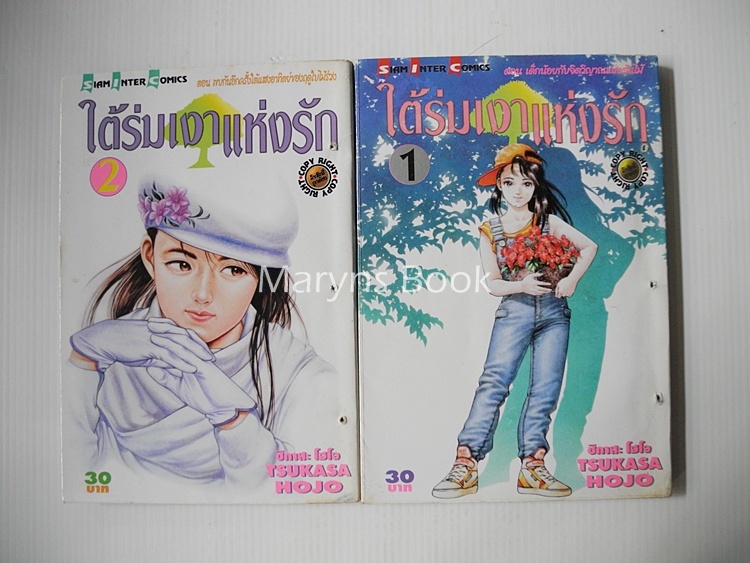 ใต้ร่มเงาแห่งรัก เล่ม 1-2 (3 เล่มจบ) / Tsukasa Hojo