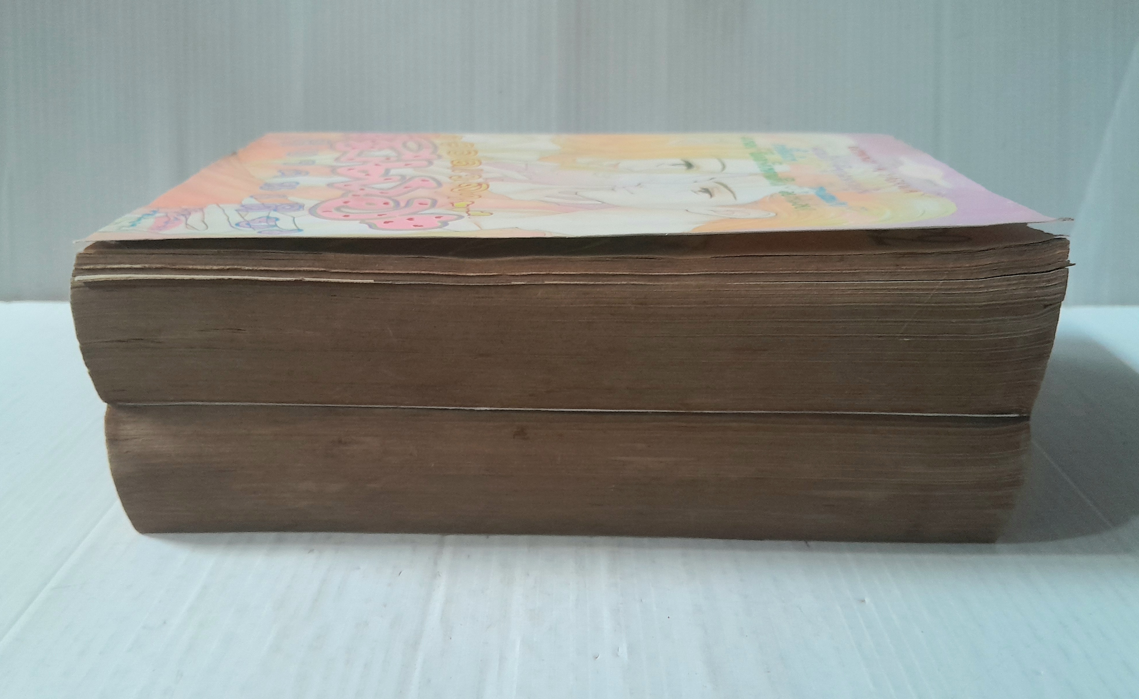 ตลอดเวลามีเธอเพียงคนเดียว 2 เล่มจบ / AI YAZAWA