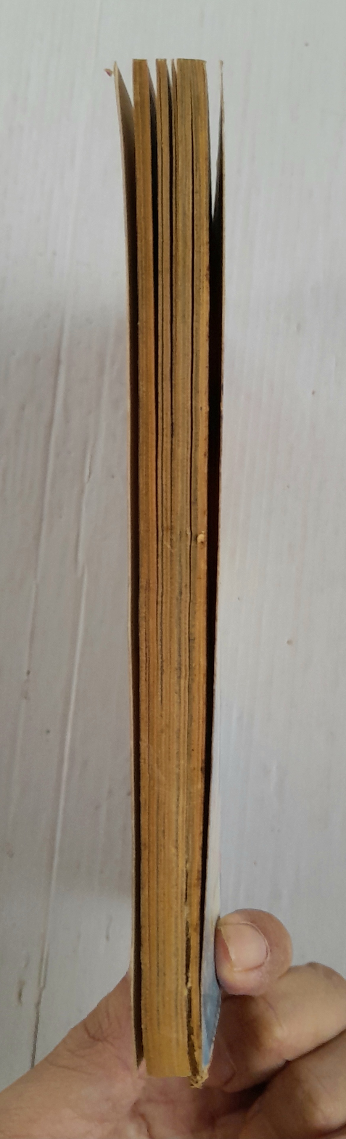 เวทมนตร์ที่แท้จริง (เล่มเดียวจบ) / Maki Mumin