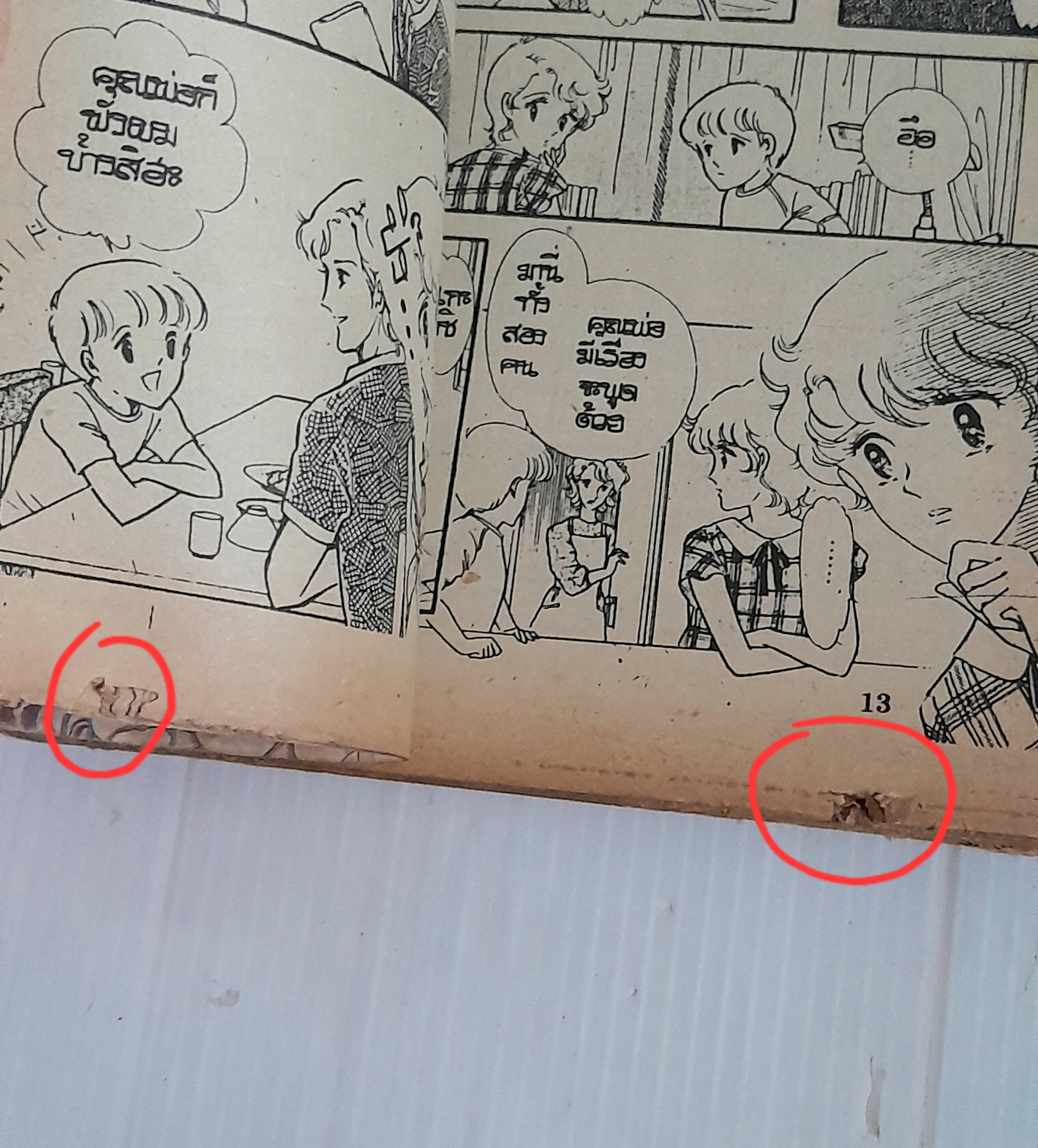 ทางหนีสุดท้าย (เล่มเดียวจบ)