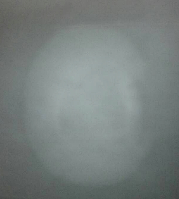 หมากทุย