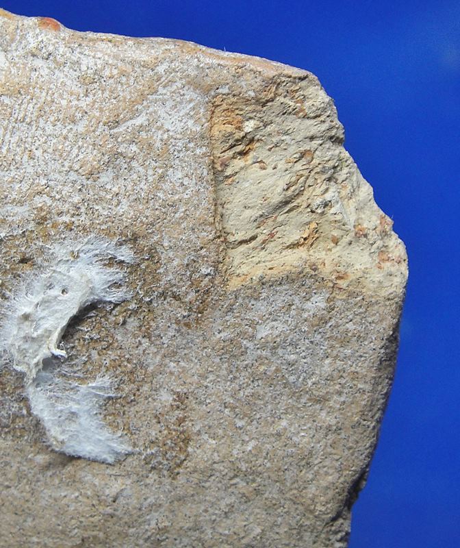 พระนาดูน