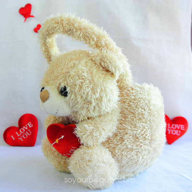 ตุ๊กตากระเป๋า (น้องหมี/น้องหมา)