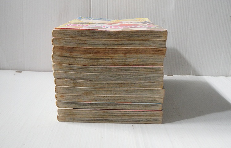LOVE MONSTER เลิฟมอนเตอร์ 12 เล่มจบ / Riko miyagi