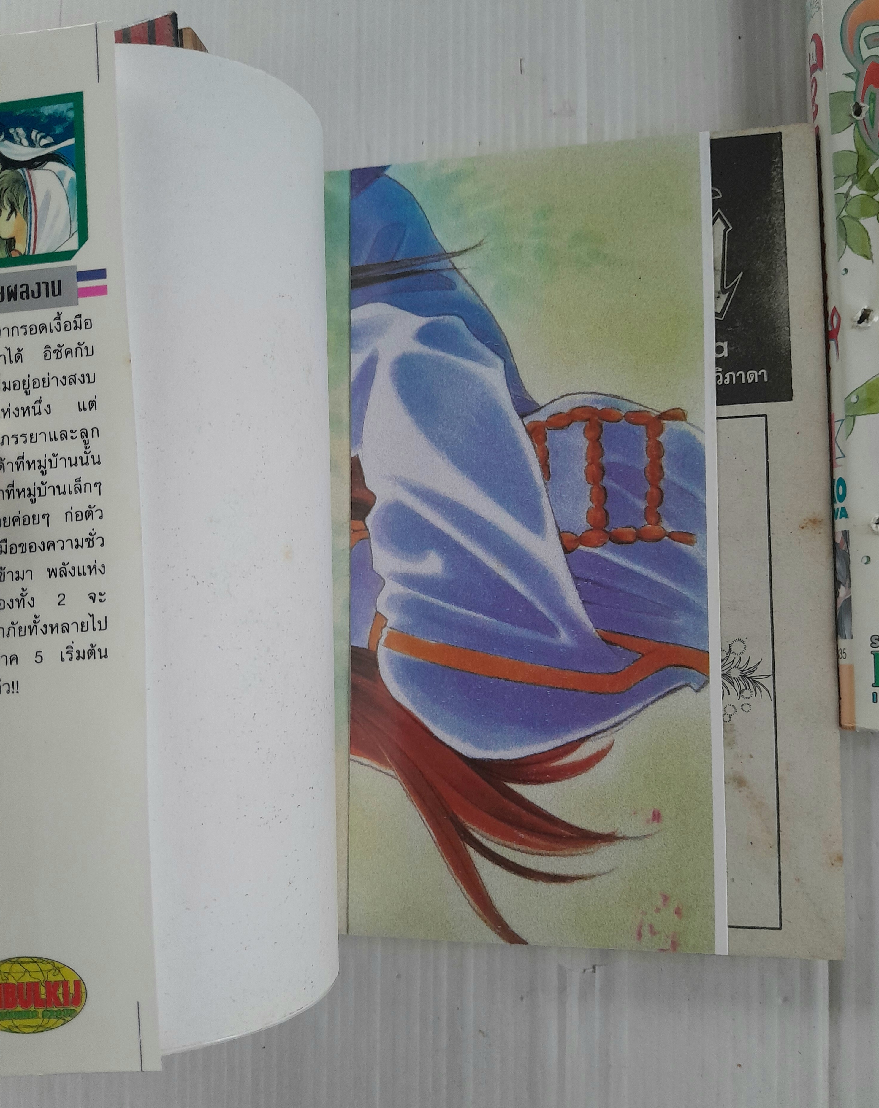 จอมคนแดนฝัน เล่ม 1-11 (14 เล่มจบ) / ฮิคาวะ เคียวโกะ