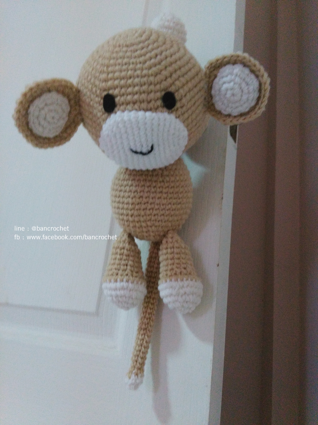 ลิงถักแขนยาว