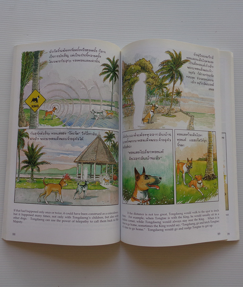 เรื่องทองแดง ฉบับการ์ตูน