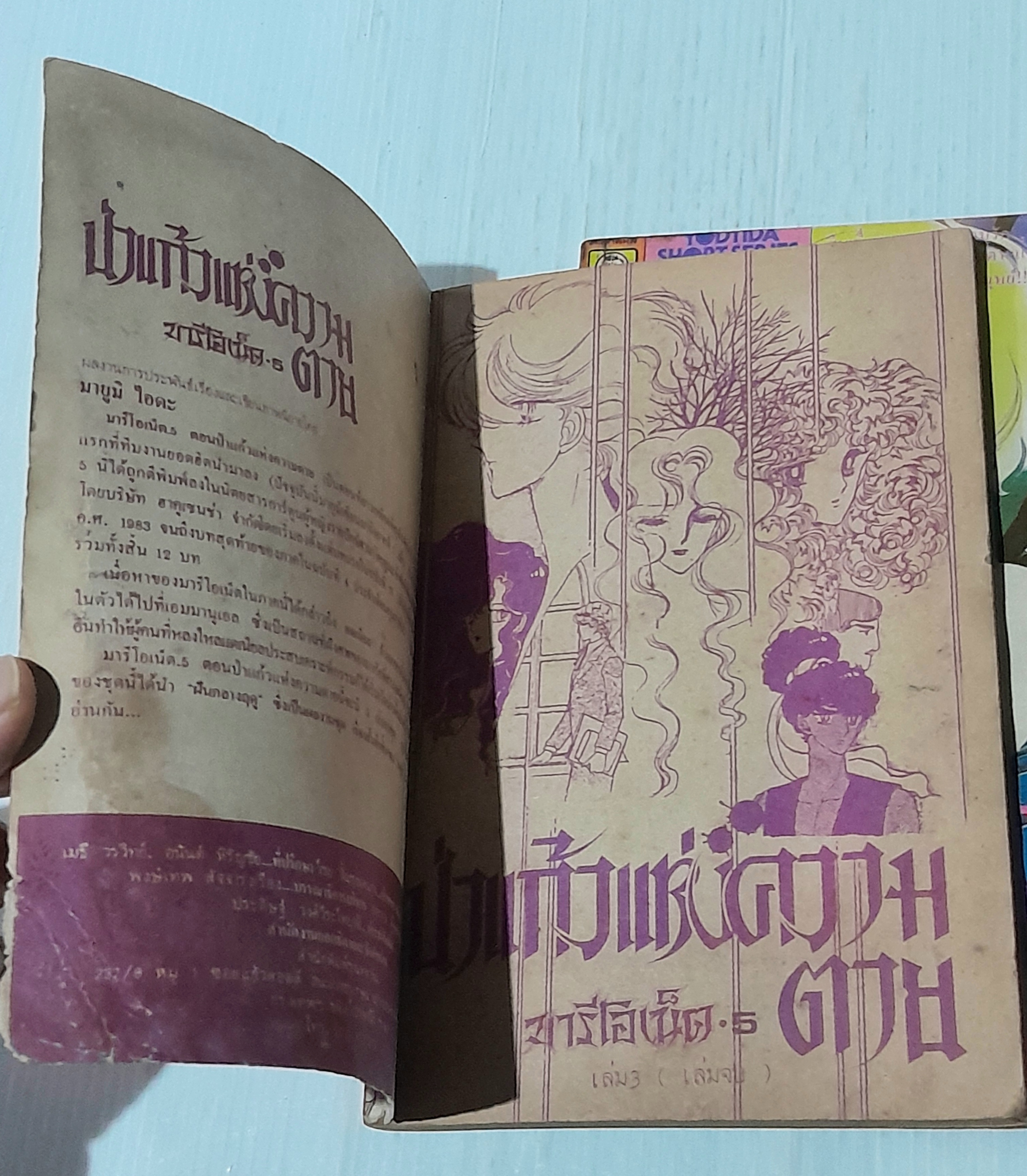 มารีโอเน็ต ป่าแก้วแห่งความตาย 3 เล่มจบ / ไอดะ มายูมิ