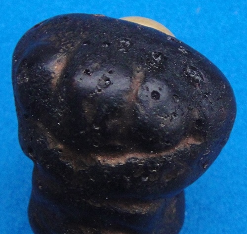 พญาการะเวก (ราหูอมจันทร์)